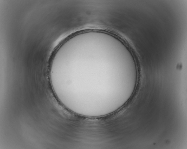 X0000111051168200906251112