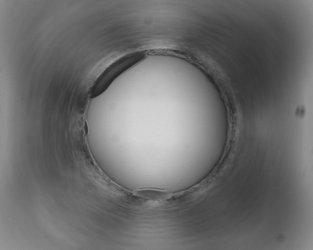 X0000111051169200906251112