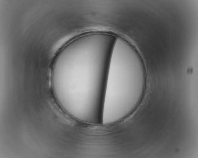 X0000111051171200906251112
