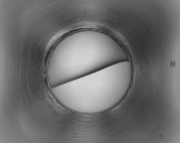 X0000111051172200906251112