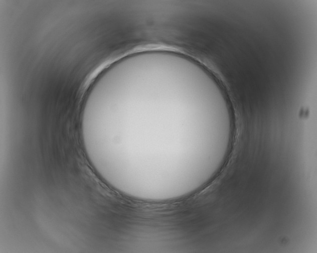 X0000111051173200906251112