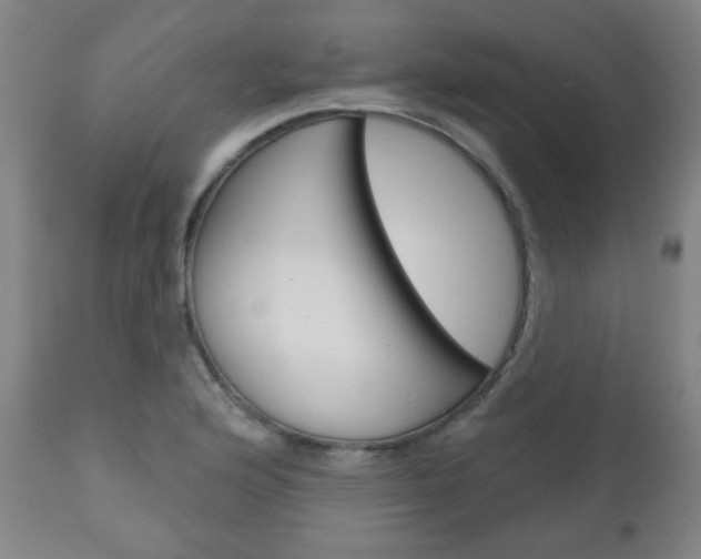 X0000111051176200906251112