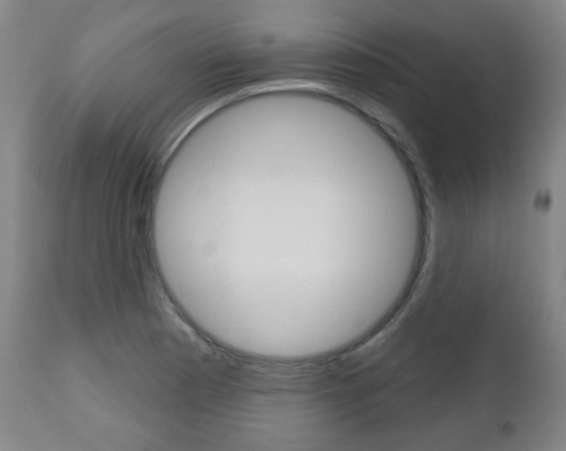 X0000111051177200906251112
