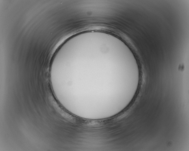 X0000111051178200906251112