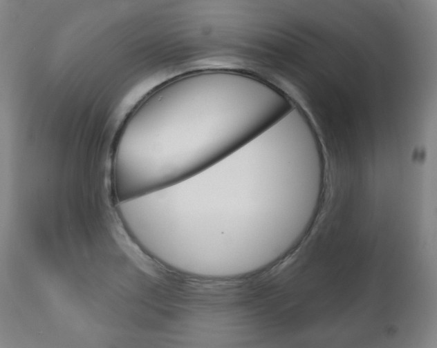 X0000111051179200906251112