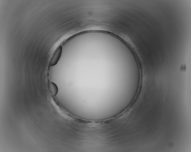 X0000111051181200906251112