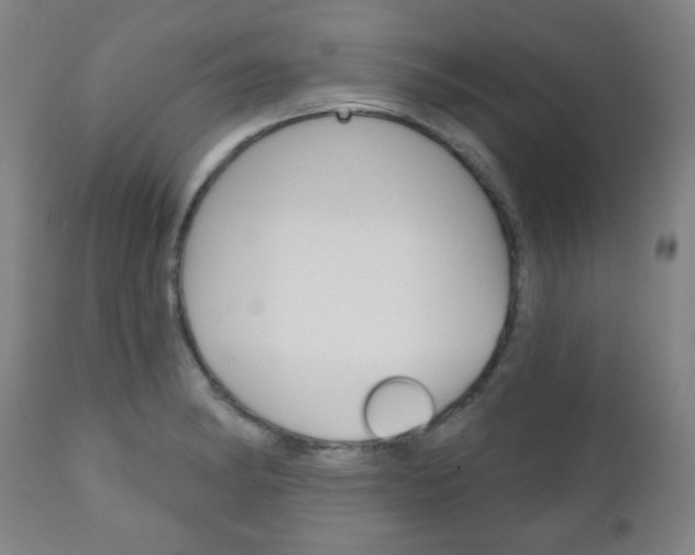 X0000111051182200906251112