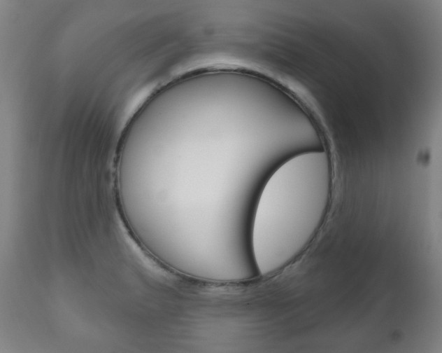 X0000111051183200906251112