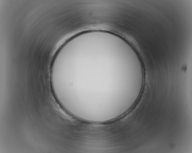X0000111051184200906251112