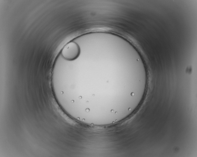 X0000111051186200906251112