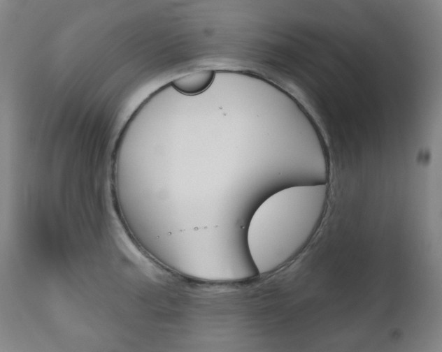 X0000111051187200906251112