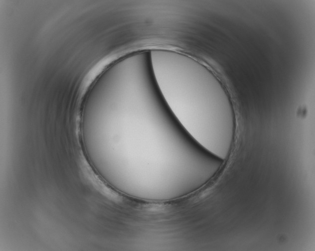 X0000111051188200906251112