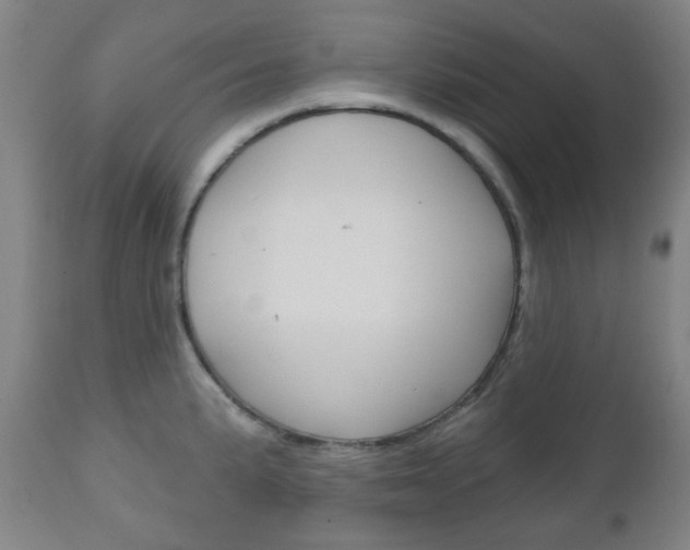 X0000111051191200906251112