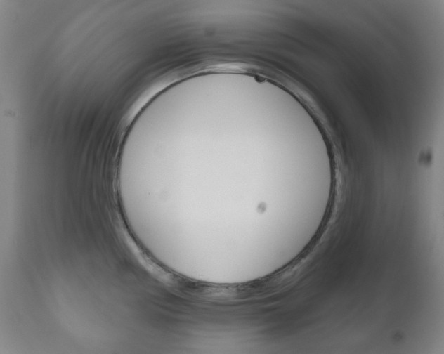 X0000111051194200906251112
