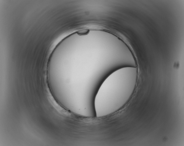 X0000111051195200906251112