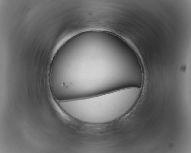 X0000111051197200906251112