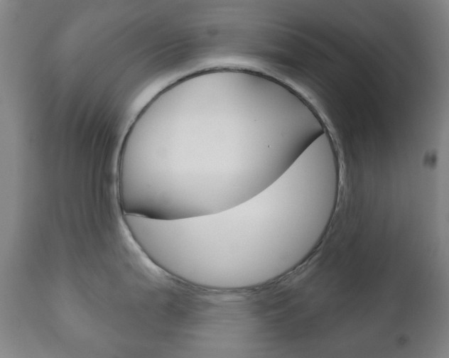 X0000111051199200906251112