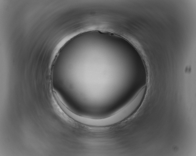 X0000111051200200906251112