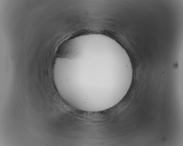 X0000111051201200906251111