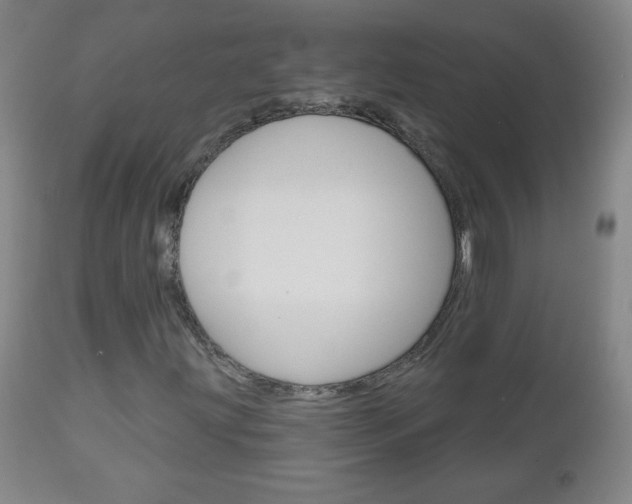 X0000111051203200906251111