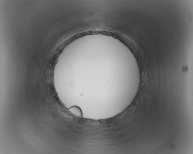 X0000111051207200906251111