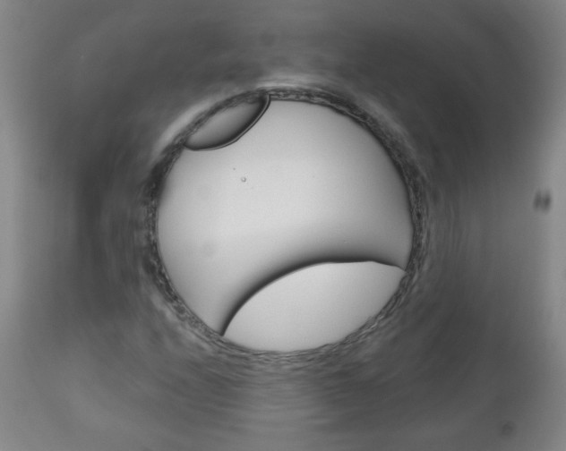 X0000111051208200906251111