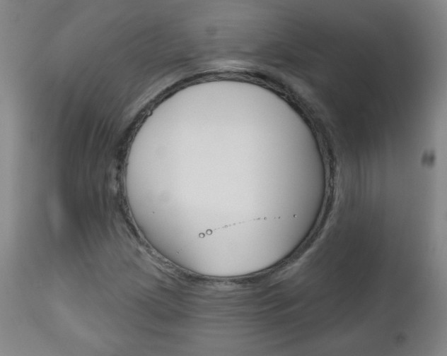 X0000111051209200906251111