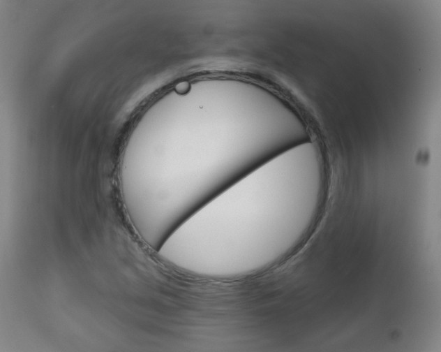 X0000111051213200906251111
