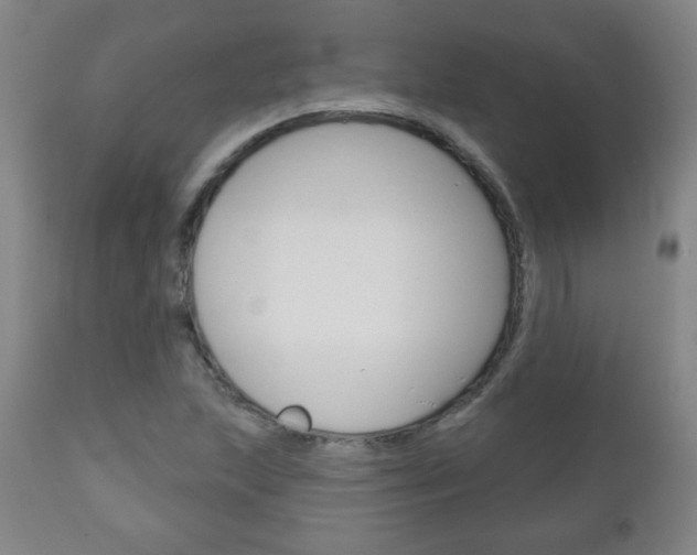 X0000111051215200906251111
