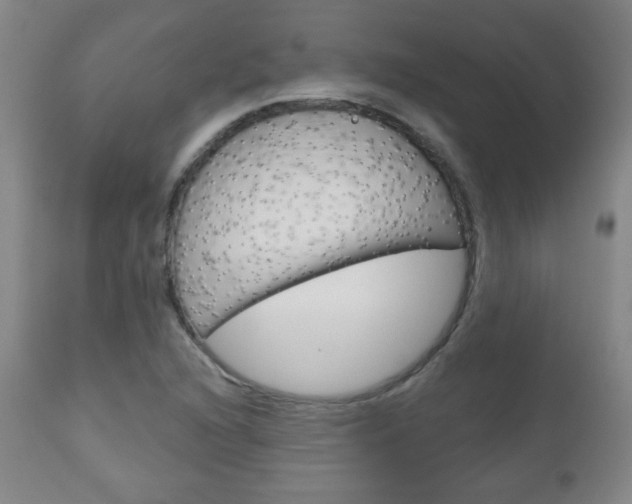 X0000111051216200906251111