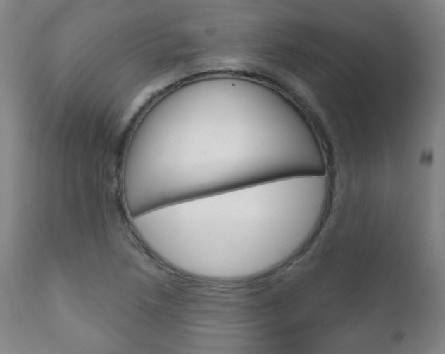 X0000111051218200906251111