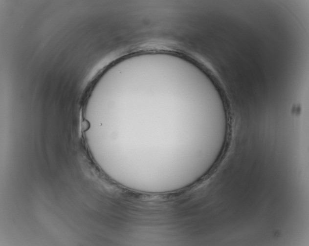 X0000111051219200906251111