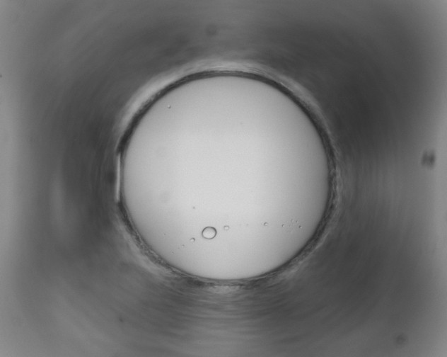 X0000111051223200906251111