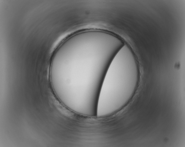 X0000111051224200906251111