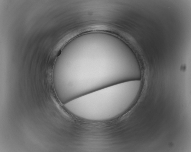 X0000111051225200906251111