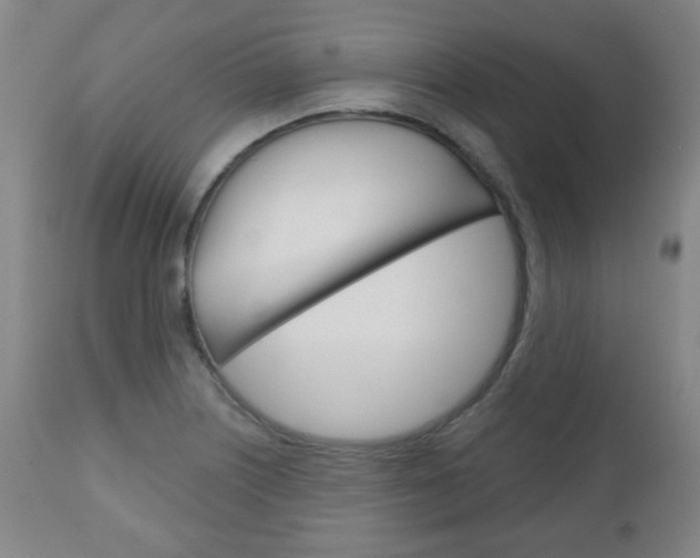 X0000111051226200906251112
