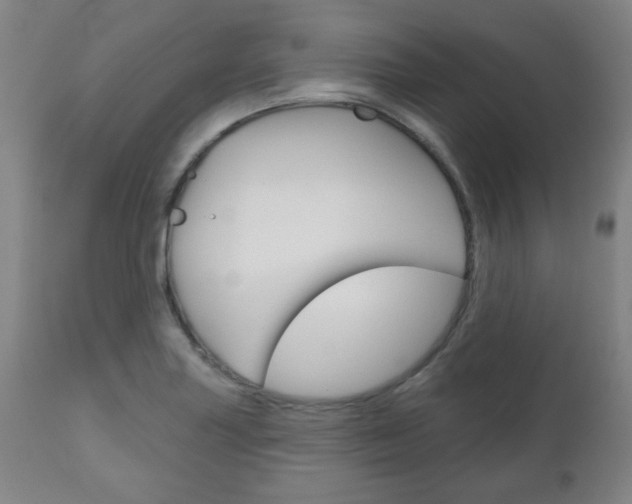 X0000111051227200906251112