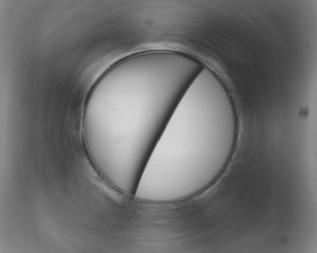 X0000111051228200906251112