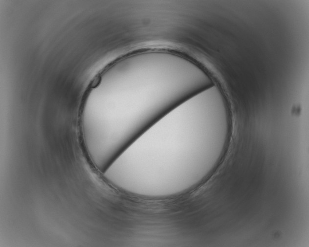 X0000111051229200906251112