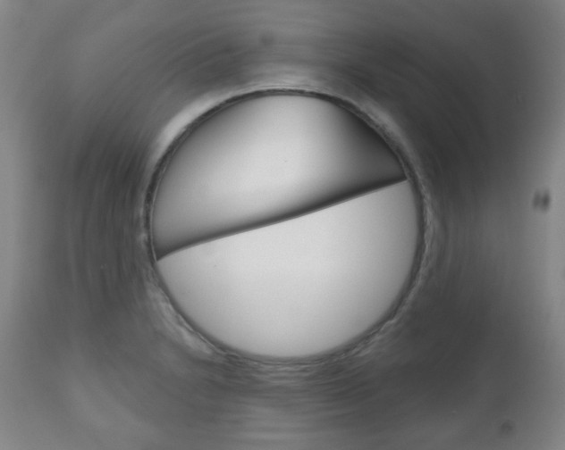 X0000111051230200906251112