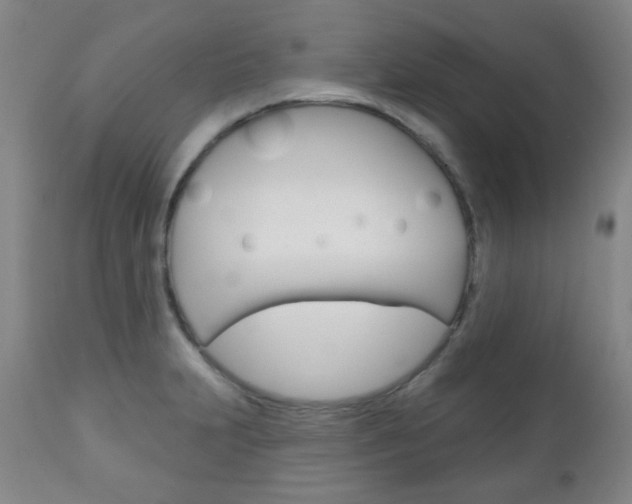 X0000111051231200906251112