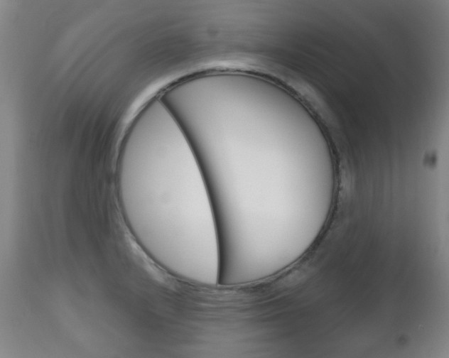 X0000111051232200906251112