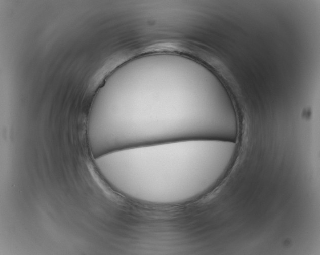 X0000111051233200906251112