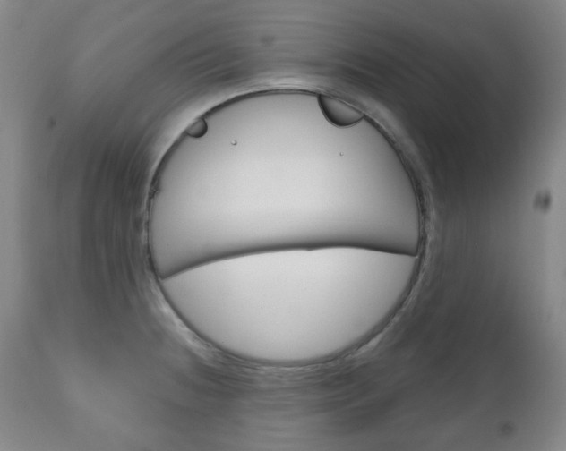 X0000111051236200906251112