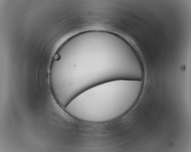 X0000111051238200906251112