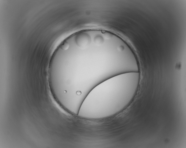 X0000111051239200906251112