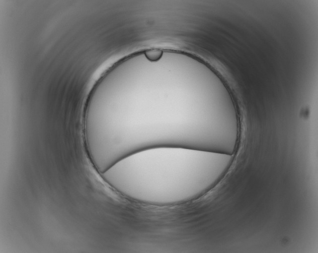 X0000111051240200906251112