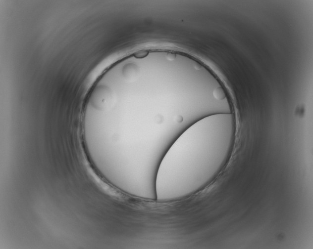 X0000111051245200906251112