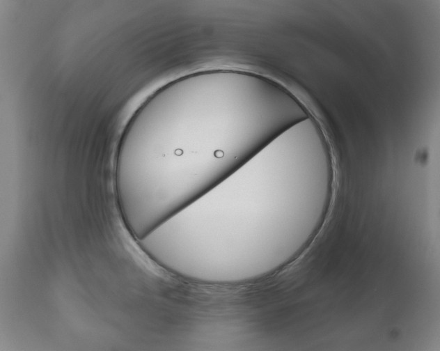 X0000111051246200906251112