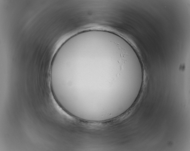 X0000111051247200906251112